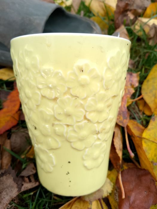 Віддам капці в добрі руки