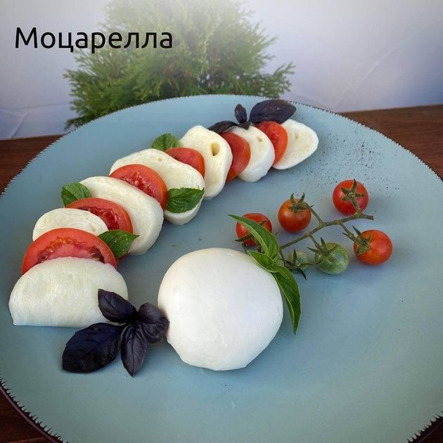Молоко Англонубийских коз, сыр Адыгейский, Панир, Мацарелла