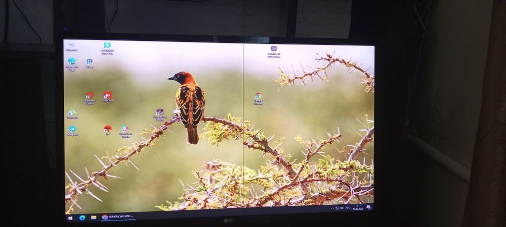 Монітор 23.8" LG 24MP59G-P