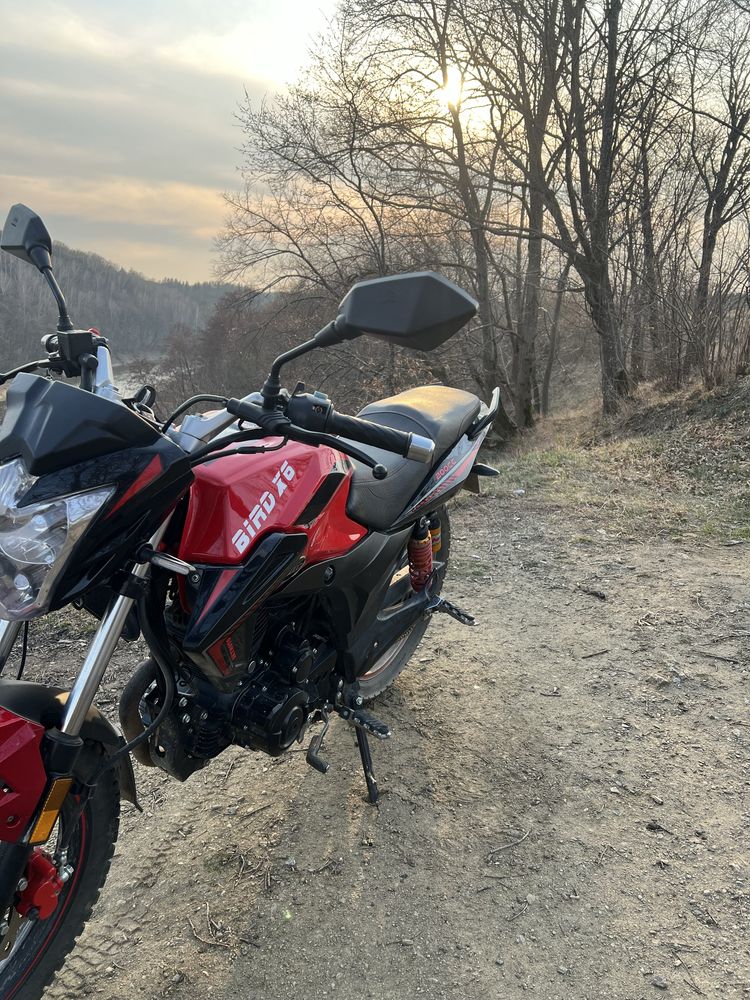 Продам skymoto bird x6