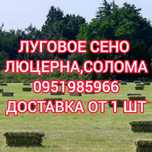 СІНО (СЕНО) В ТЮКАХ луговое (лугове) с доставкой. Есть б.н расчёт