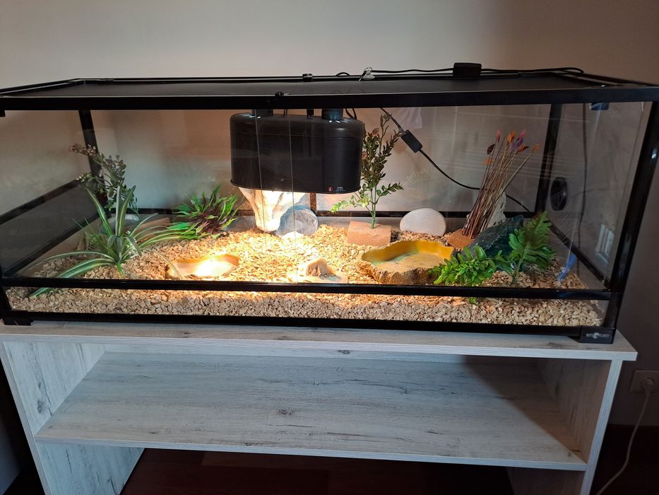 Terrarium jak nowe