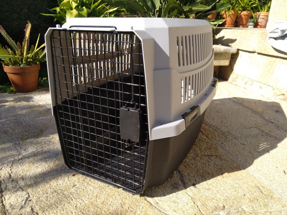 Caixa transporte animais