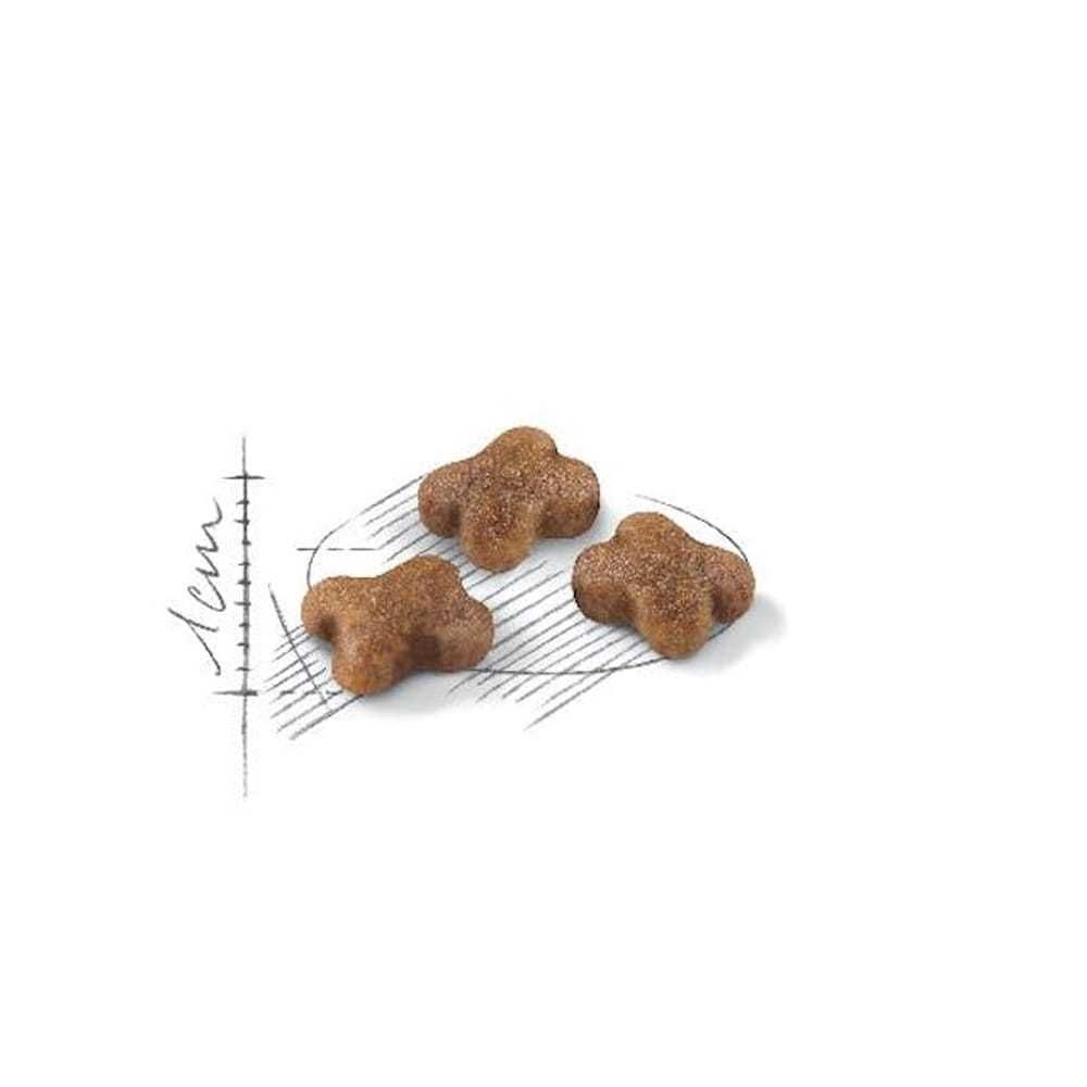 Royal Canin Kitten 10kg sucha karma dla kociąt sklep stacjonarny