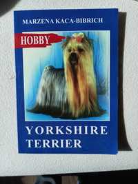 Yorkshire terrier poradnik