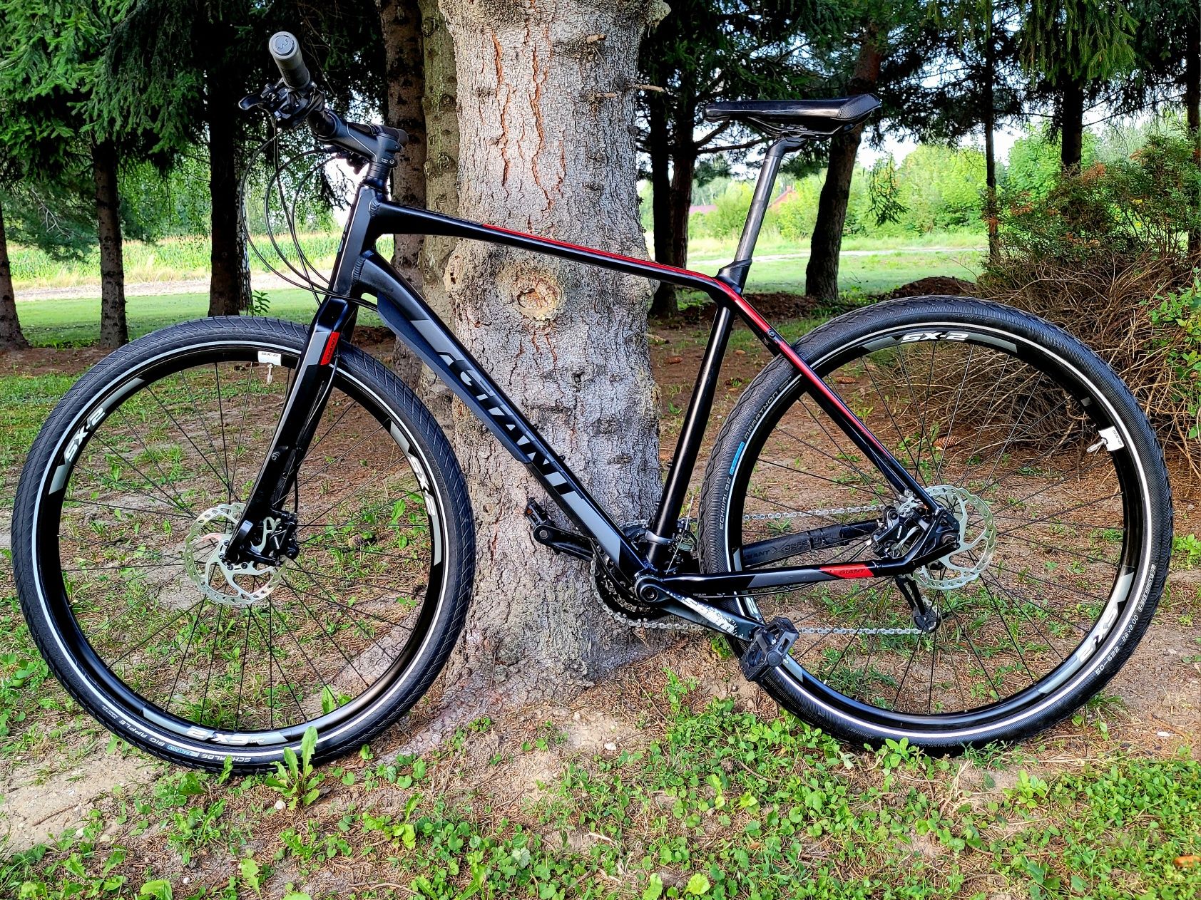 Giant Toughroad slr1