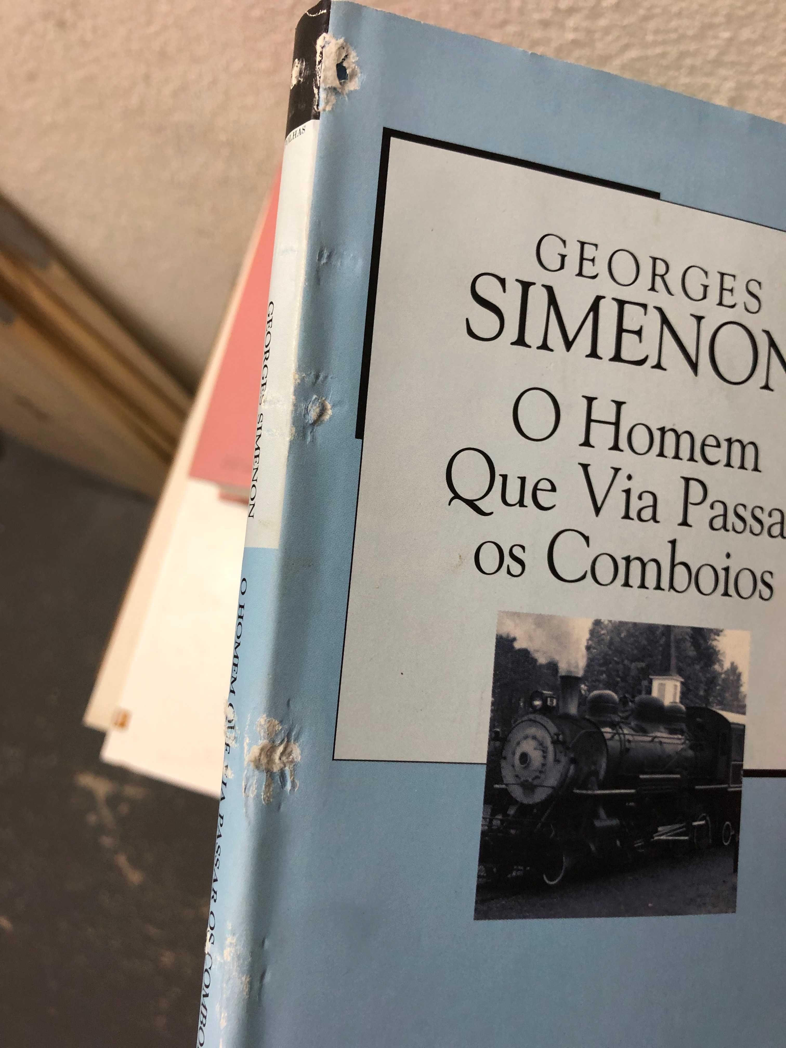 Livros Colecção Mil Folhas Público. Capa dura azul com capa de papel.