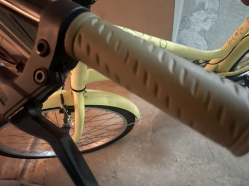 Vendo bicicleta Berg