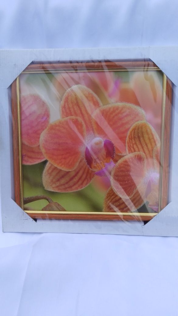 Комплект картин "Орхидеи"