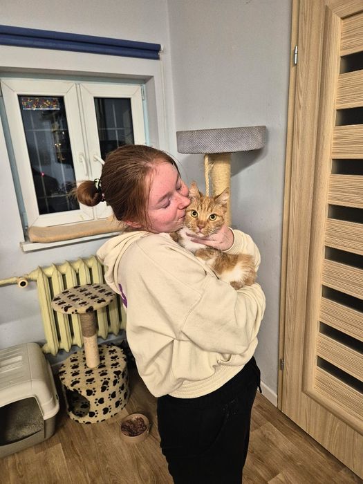 Kot, kotek, kocurek Monin