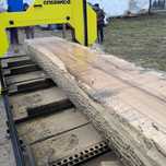 Certyfikowany Trak Taśmowy M-MK 95cm Średnicy Kłody