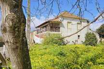 Quinta | 10 hectares | Cernache do Bonjardim