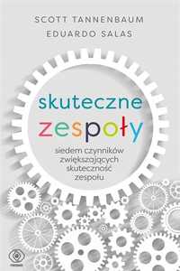 Skuteczne Zespoły