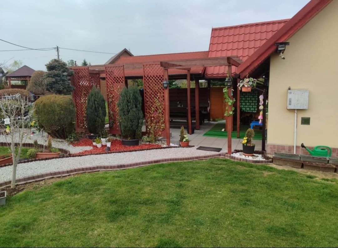 Domek całoroczny do wynajęcia ROD