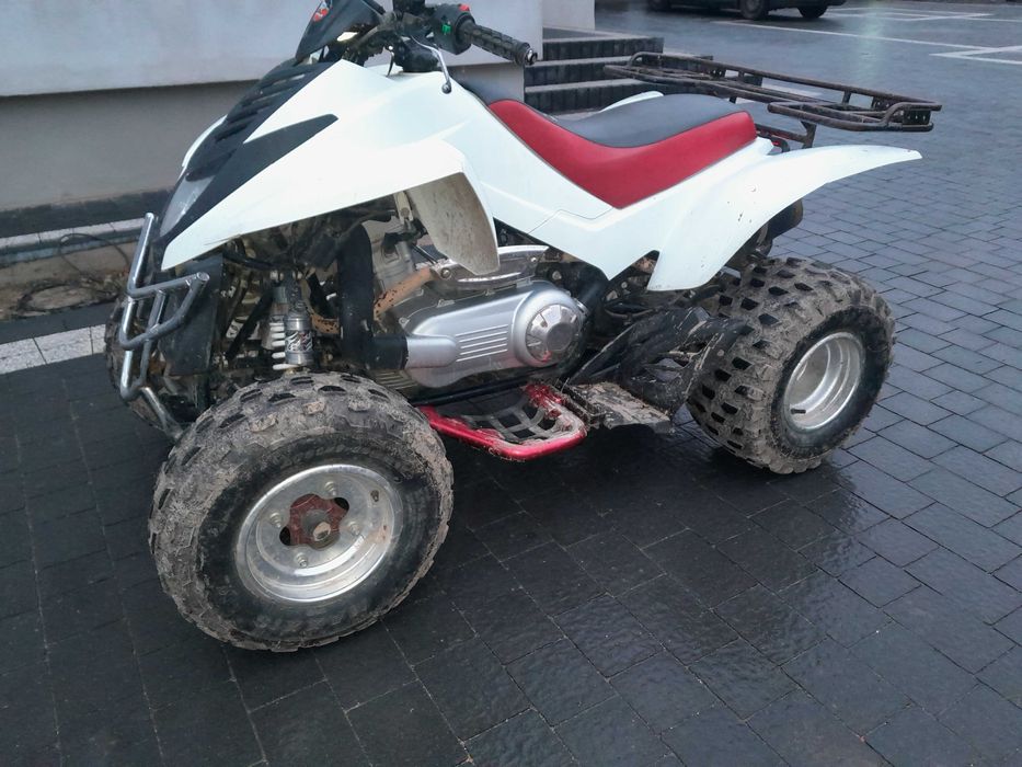 Quad Daili 300