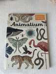Animalium książka wydawnictwa Dwie Siostry