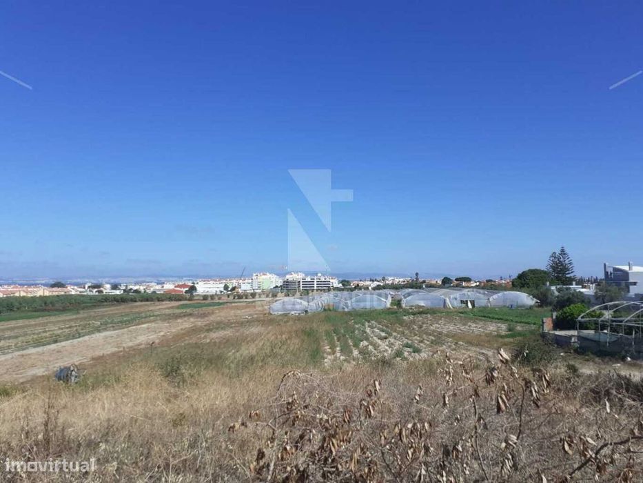 Alcochete - Quinta com 11 ha