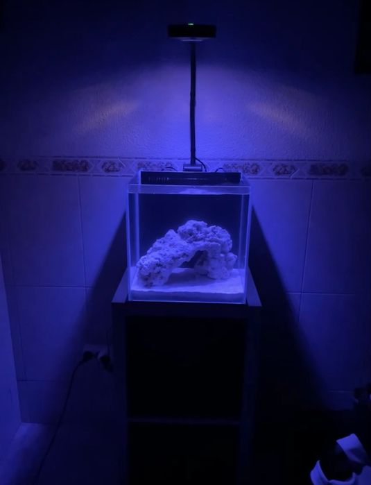 Aquário Cubo 30x30 Com Sump Traseira