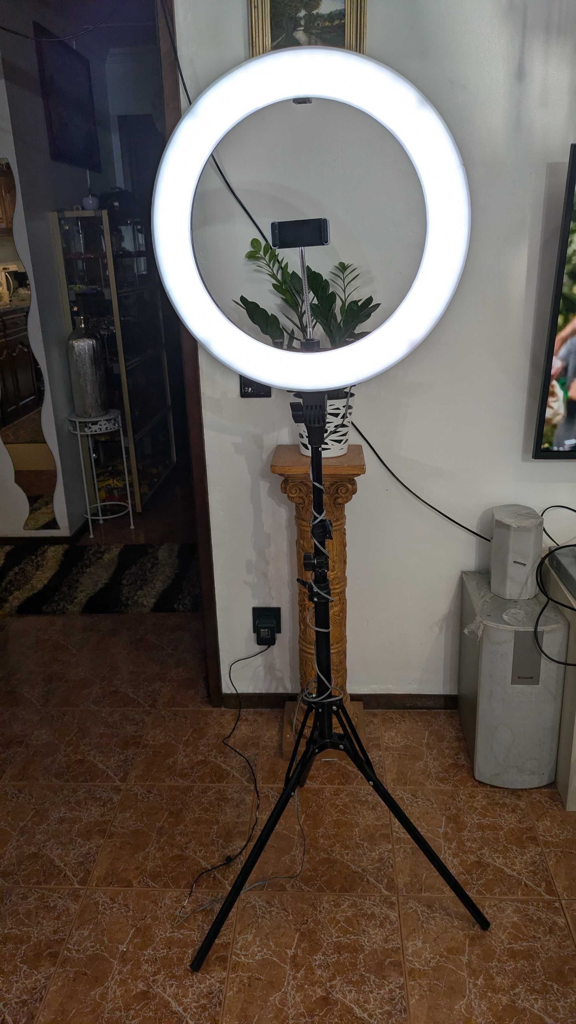 ring light d neewer luz fria quente LED + suporte+ 3 carrinhos de bebe
