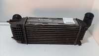 Intercooler Peugeot 407 Sw (6E_)