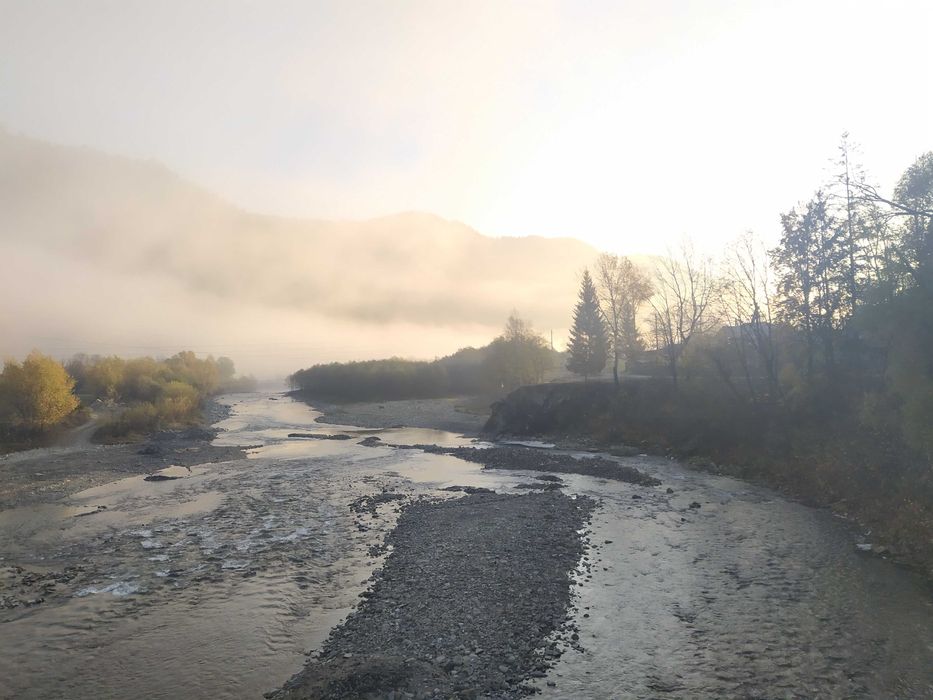 Відпочинок у Карпатах. Садиба "Гірська роса".