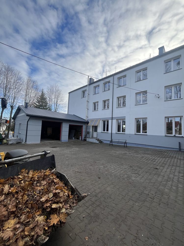 Mycie oraz malowanie dachu,elewacji i kostki brukowej