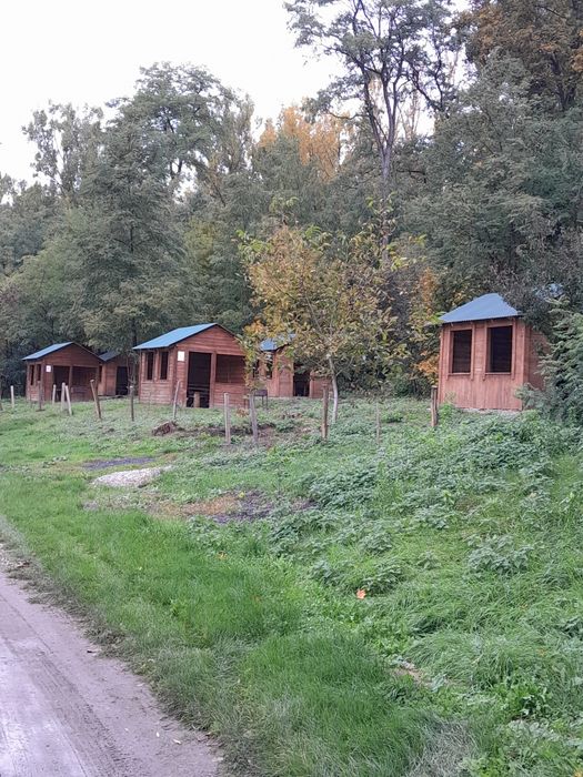 Дачна ділянка, продаж