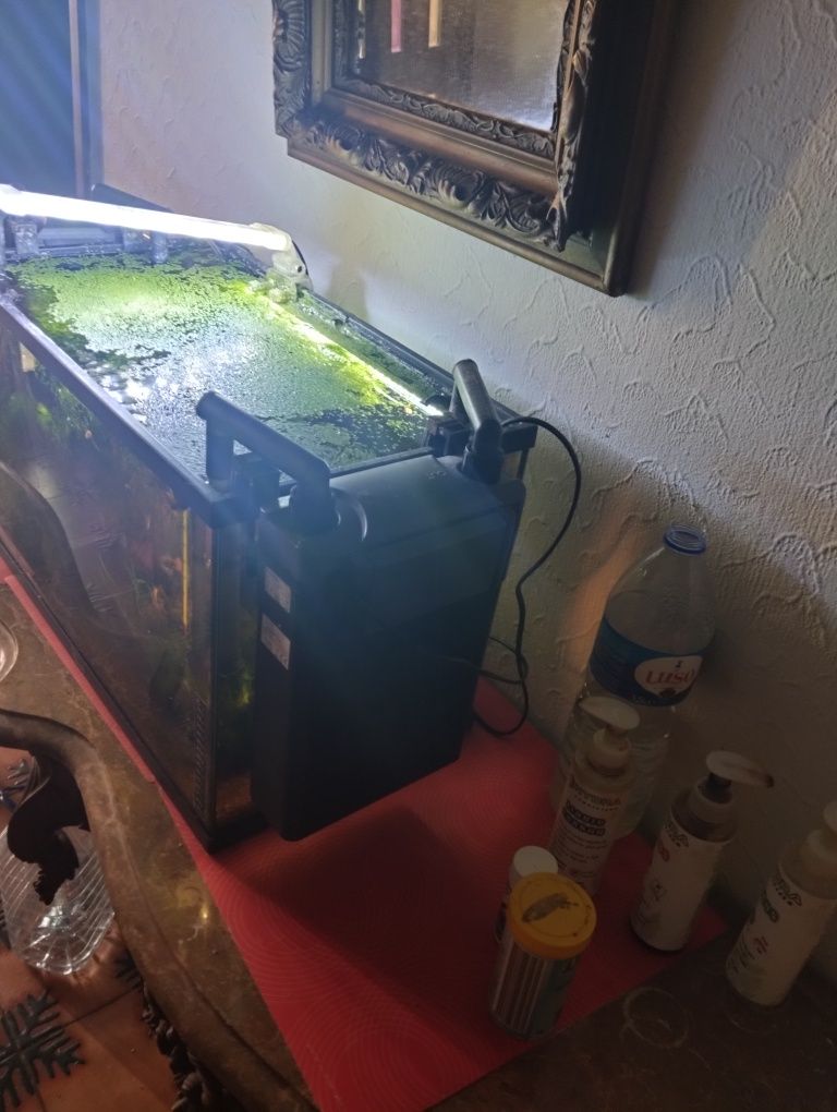 Kit Aquario 60ltr aquatlantis