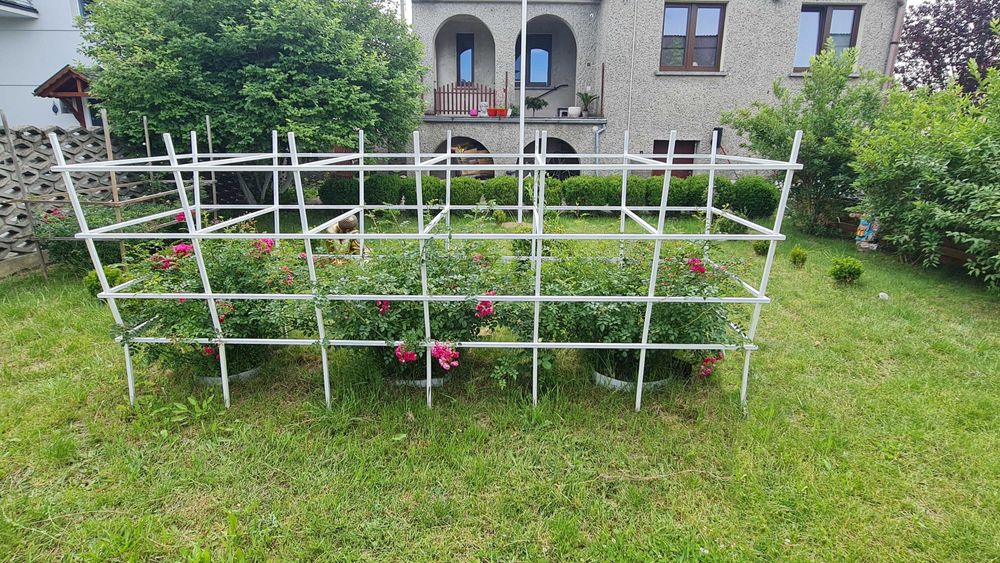 Solidne duże pergole na Twój wymiar! Róże pnące, drabinki, podpory