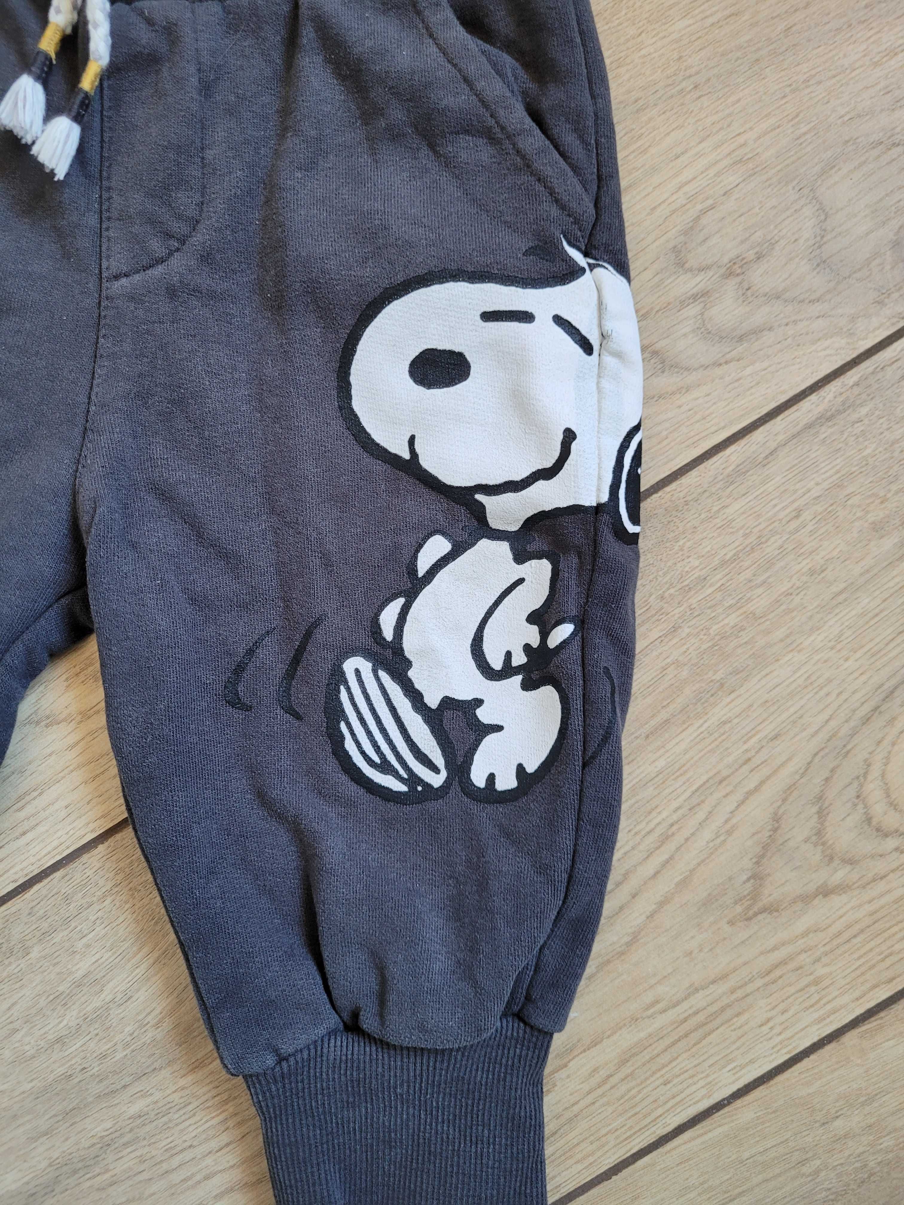 Spodnie Reserved Snoopy 80 9-12 dresy miękkie joggery unisex długie