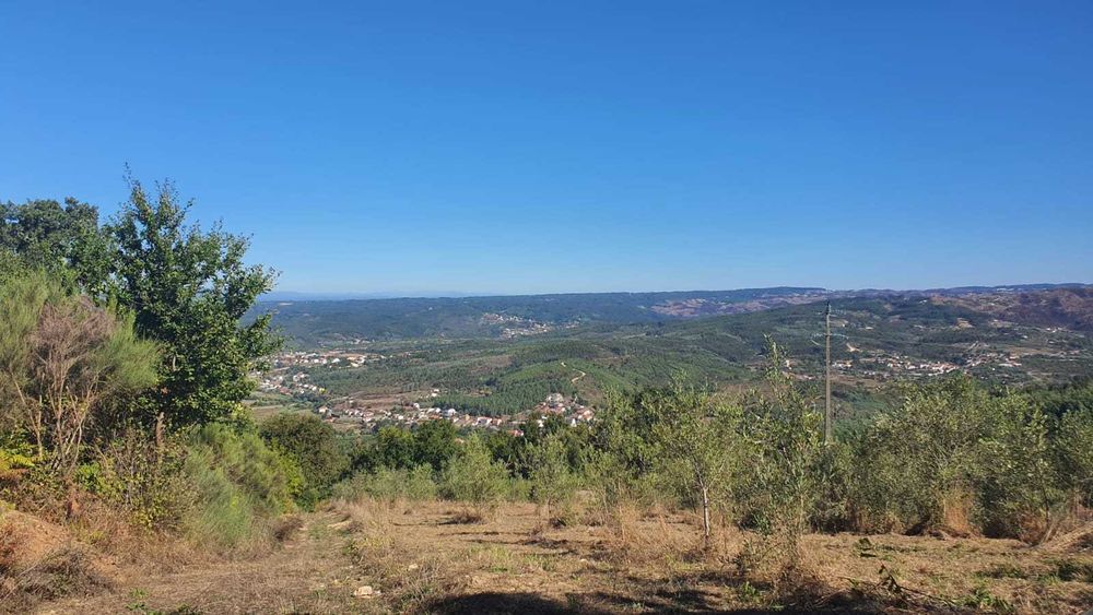 Terreno 1,2 ha com viabilidade de construção – Esculca