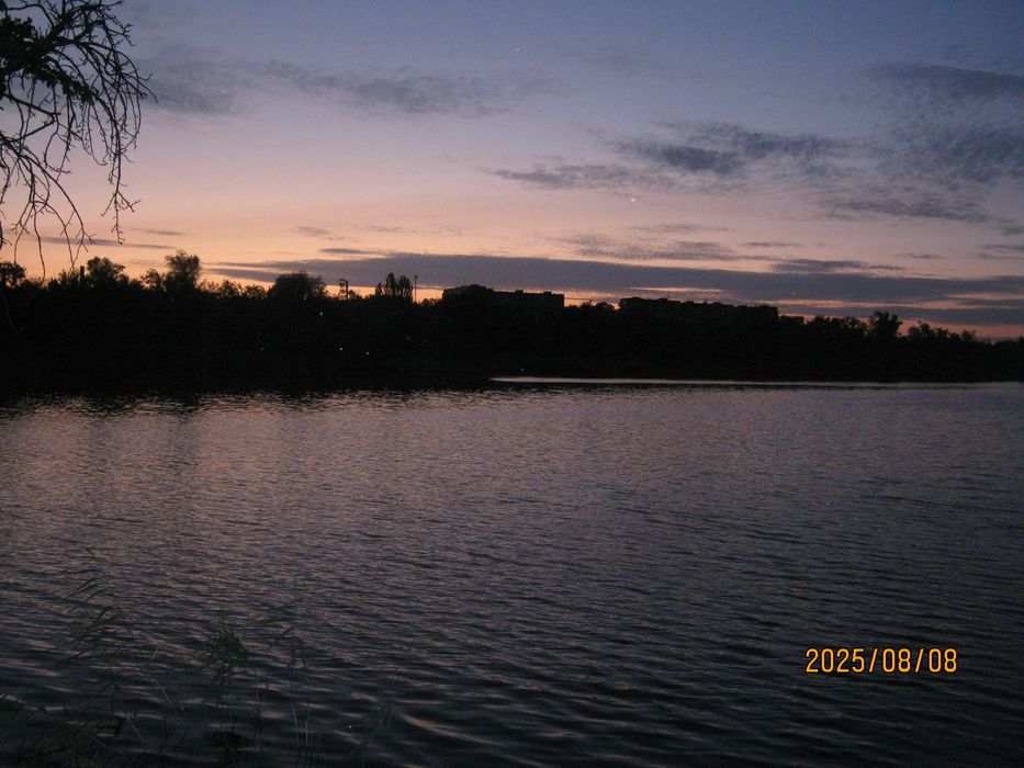 Canon PowerShot a480