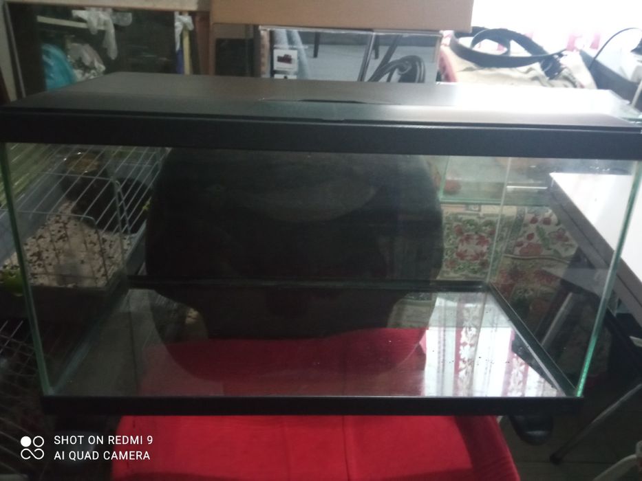 Aquário ciano para peixes ou tartarugas