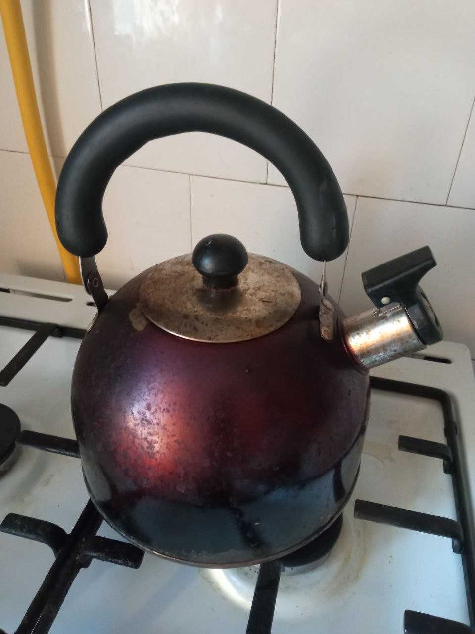 Чайник зі свистком Almo 2,5 л