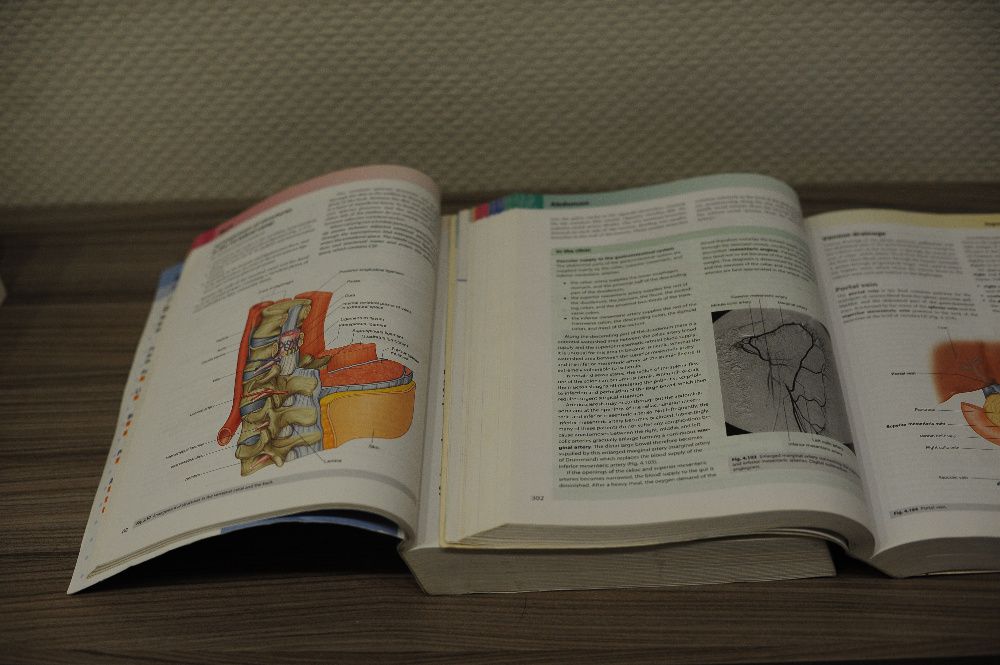 Анатомия человека, учебник GRAY'S Anatomy for students 1st. ed.