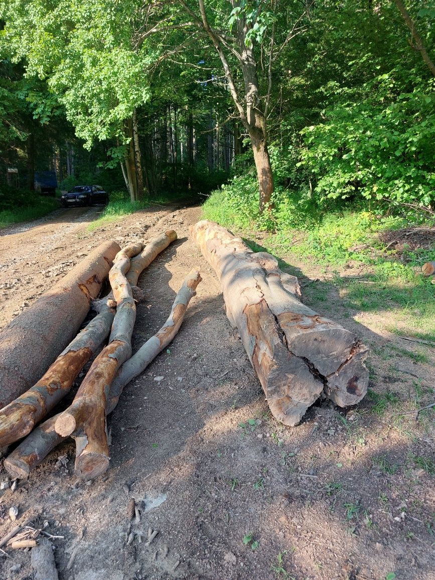 Drewno kominkowe opałowe buk