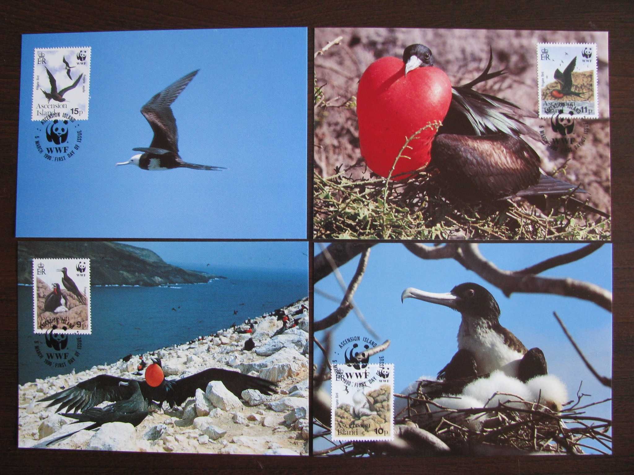 Wyspy Wniebowstąpienia -Maxim karty-Ptaki, -WWF