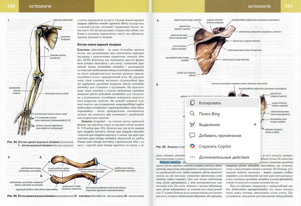 Анатомия. Нормальная. Анатомія. Нормальна. Головацький.
