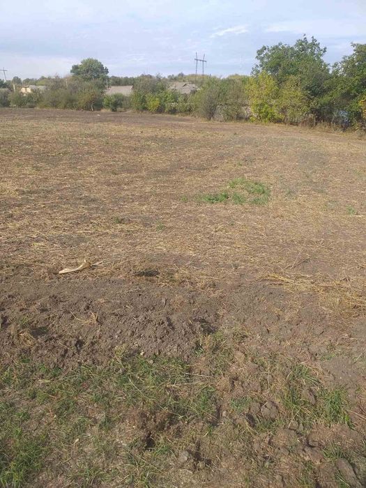 Продам земельну ділянку10 соток