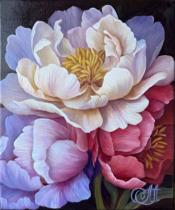 Картина півонії квіти