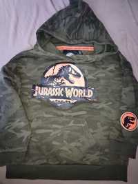 Bluza z kapturem 110 jurassic world