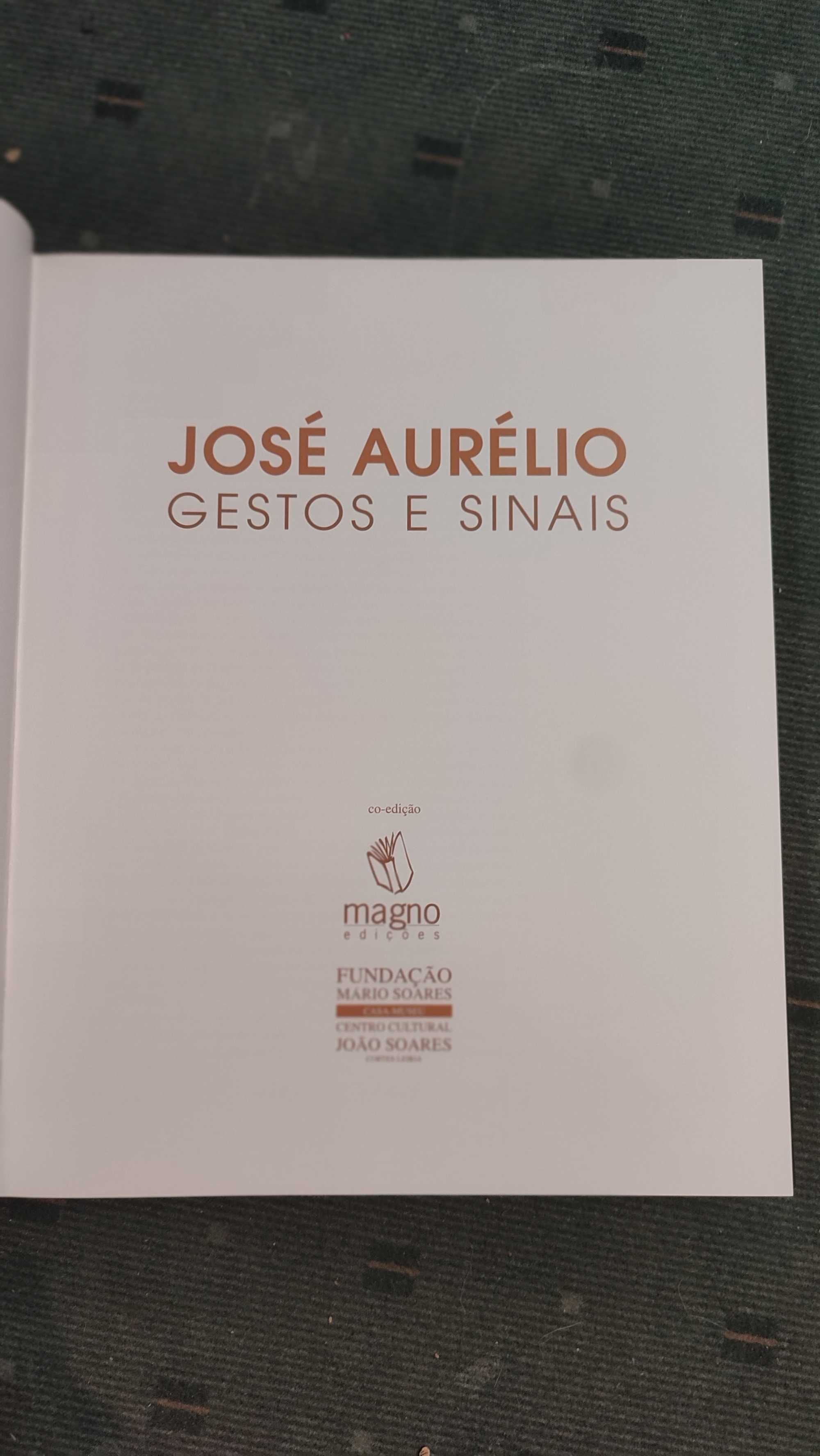 José Aurélio - Gestos e Sinais