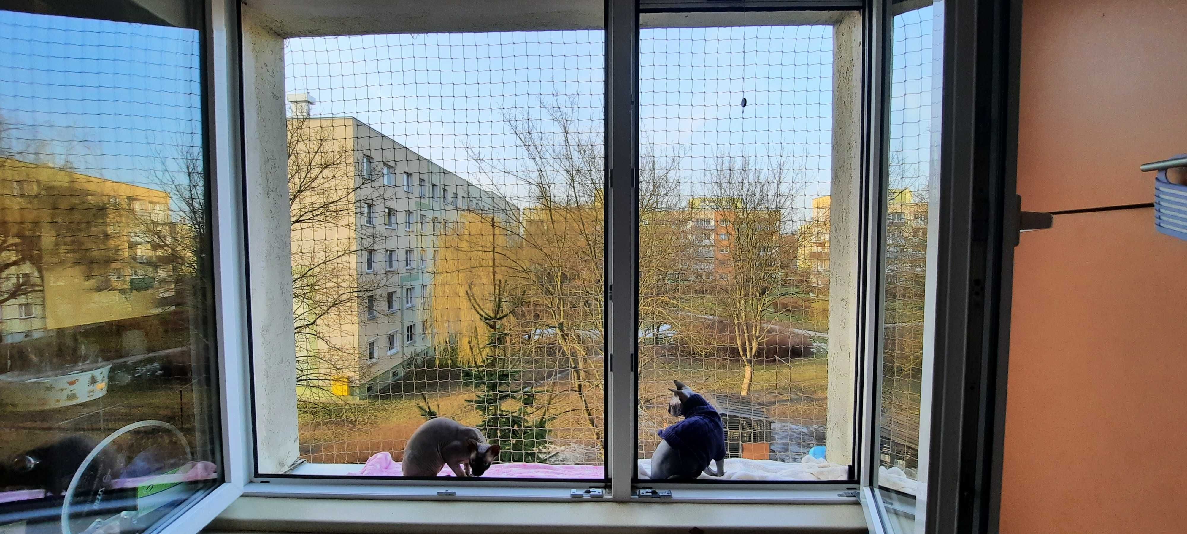 Siatka zabezpieczająca na okno dla kota/przeciw ptakom 1,7mx4m