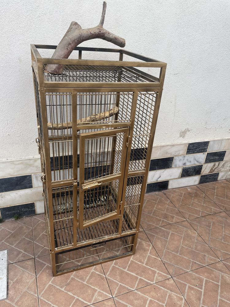 Gaiola de papagaio