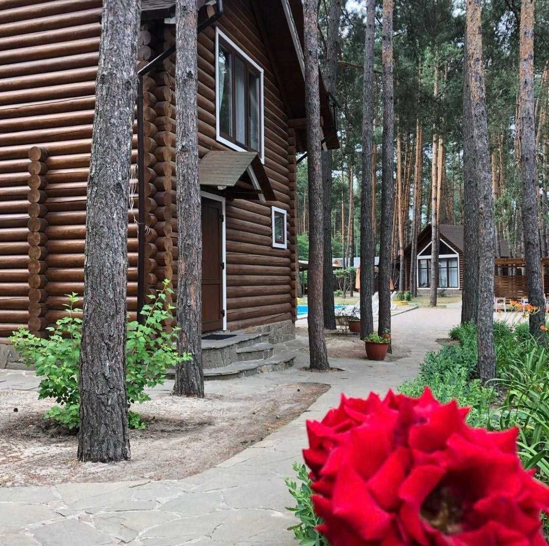 Аренда дома. База отдыха с. Задонецкое, под Харьковом, Коробовы Хутора