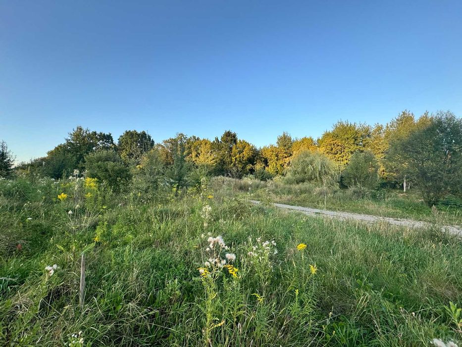 Продаж земельної ділянки в с. Якушинці