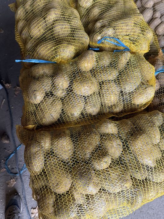 Sprzedam Ziemniaki ignacy