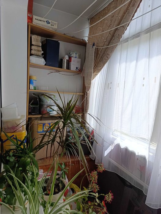 Квартира с ремонтом и видом на море в Каролино-Бугазе