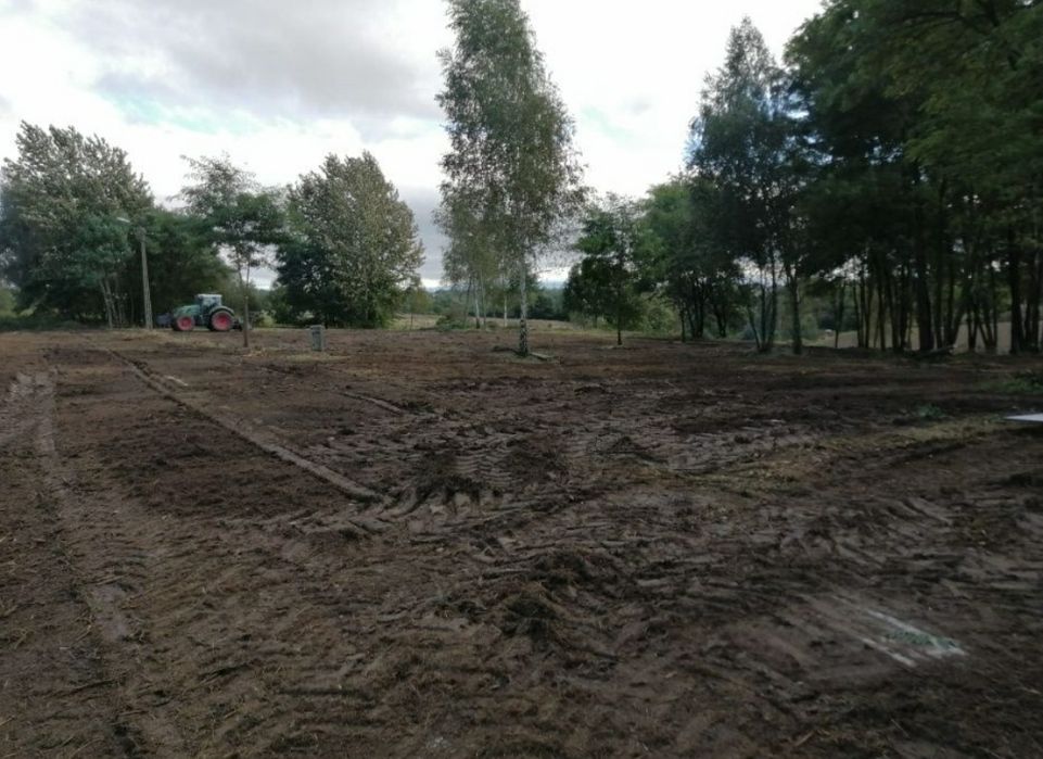 Karczowanie wycinka drzew mulczer czyszczenie działek Rekultywacja