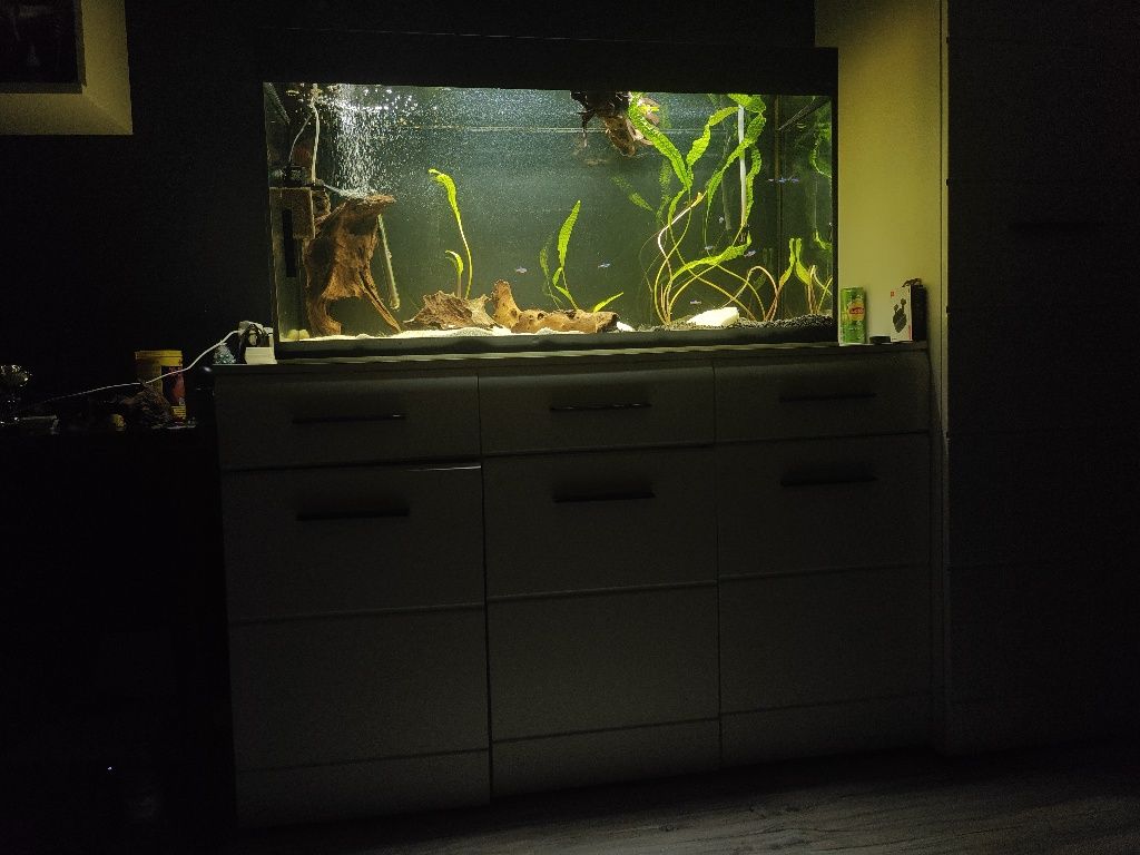 Aquael glossy 260l wraz z osprzętem w